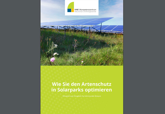 PB: Neue KNE-Broschüre „Wie Sie den Artenschutz in Solarparks optimieren“ für kommunale Akteure