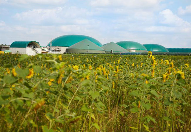 PB: BioConstruct und Next Kraftwerke schließen PPA für 86 Biogas-BHKW ab / © GmbHBioConstruct