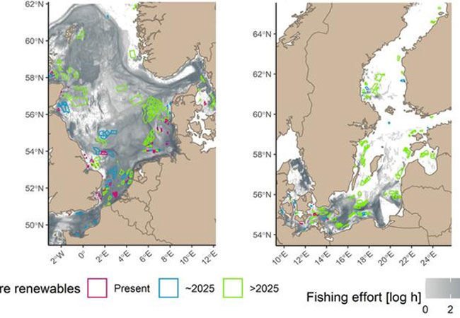 PB: Overlay of mean annual effort of bottom-touching fisheries in the North Sea (2009-2017) and Baltic Sea (2009-2016) with current and future offshore wind energy development. Fishing effort: the stronger the gray colour, the more intensive the... Überlagerung des mittleren jährlichen Aufwands der bodenberührenden Fischerei in der Nordsee (2009-2017) und Ostsee (2009-2016) mit dem aktuellen und zukünftigen Ausbau der Offshore-Windenergie. Fischereiaufwand: Je stärker die graue Farbe, desto intensiver die ... / © Thünen Institute
