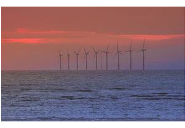 Offshore Wind Energy MBA inspiriert Partner in Japan