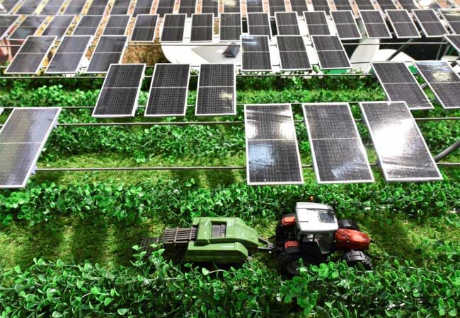 PB: Agri-PV_Modell