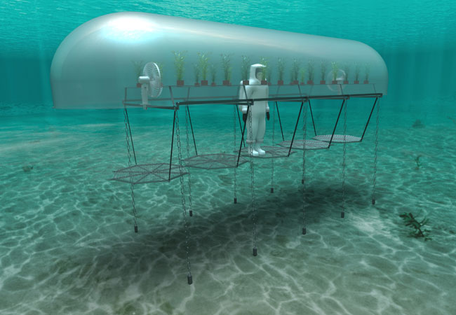 PB: Nemo's Garden ist ein Startup, das sich auf den nachhaltigen Unterwasseranbau von Nutzpflanzen spezialisiert hat . Mit Hilfe von Siemens Xcelerator und eines digitalen Zwillings kann das Team von Nemo's Garden Konzepte testen, ohne dass physische Tests erforderlich sind. Das ermöglicht eine schnelle Design-Iteration.