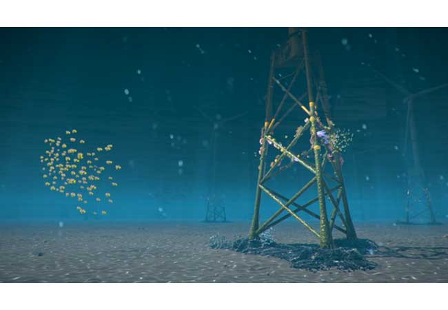 PB: Ørsted plant Korallen auf Fundamenten von Offshore-Windkraftanlagen zu züchten