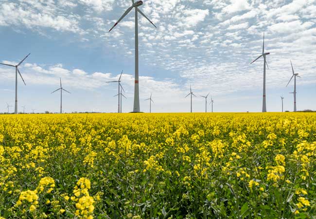 PB: Spatenstich für weiteren Windpark und beschleunigten 5 Gigawatt Ökostrom-Ausbau