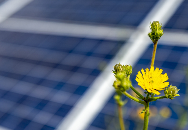 PB: BayWa r.e. liefert über 380.000 Solarmodule an Solarkraftwerke Südeifel