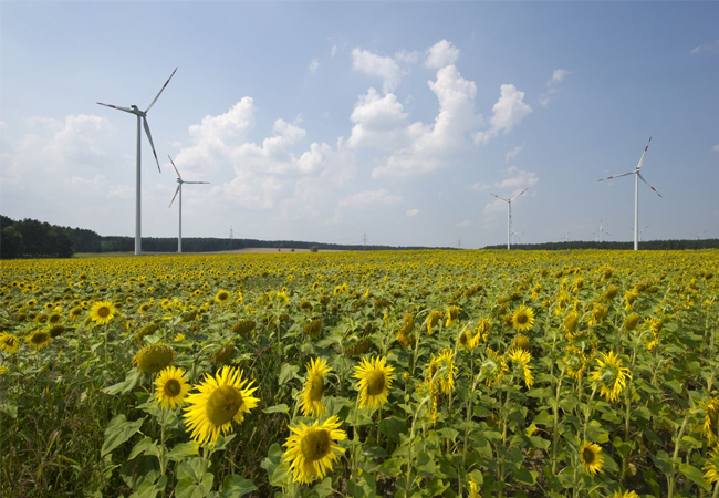 PB: Windpark Buchhain / © Green Planet Energy
