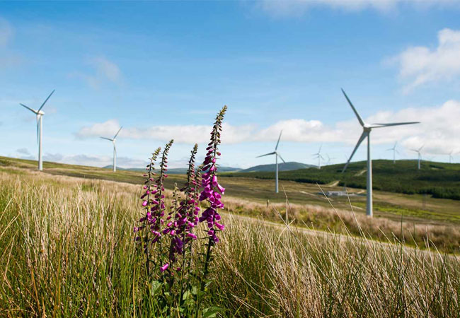 PB: Ørsted kauft den deutsch-französischen Wind- und PV- Projektentwickler Ostwind