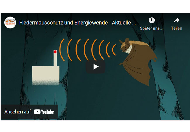 Videobild: Fledermausschutz und Energiewende - Aktuelle Herausforderungen