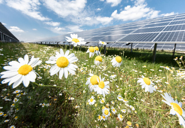 PB: Alte Leipziger Hallesche Versicherungsgruppe kauft 49,9 Prozent an 16 Solarparks der EnBW