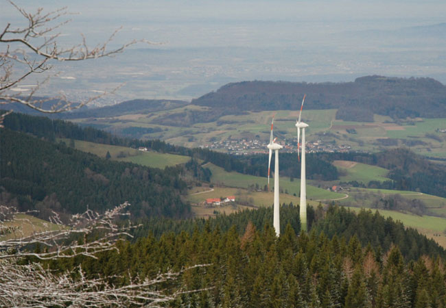 PB: Weitere Ausschreibung für Windkraftanlagen im Staatswald / © Ministerium für Ernährung, Ländlichen Raum und Verbraucherschutz Baden-Württemberg