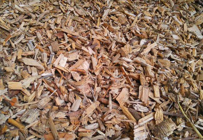 PB: wood-chips-2030653-samuel-faber