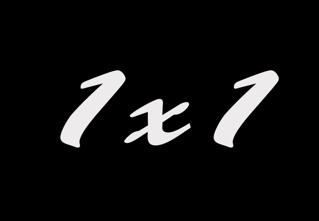 1x1