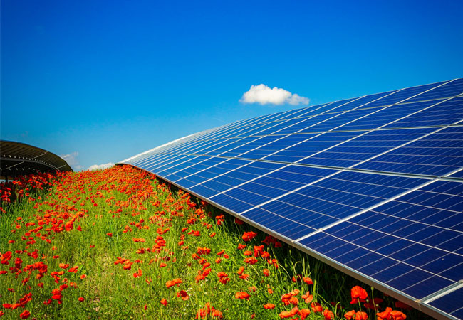 PB: IBC SOLAR startet Bürgerbeteiligungsplattform für Solarparks (© IBC SOLAR).