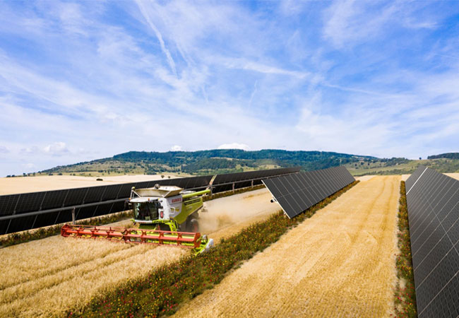 PB: Dieses Projekt ist so einzigartig, weil wichtige Synergien zwischen Solarerzeugung, Agri-PV, Gesellschaft und Biodiversität gehoben werden