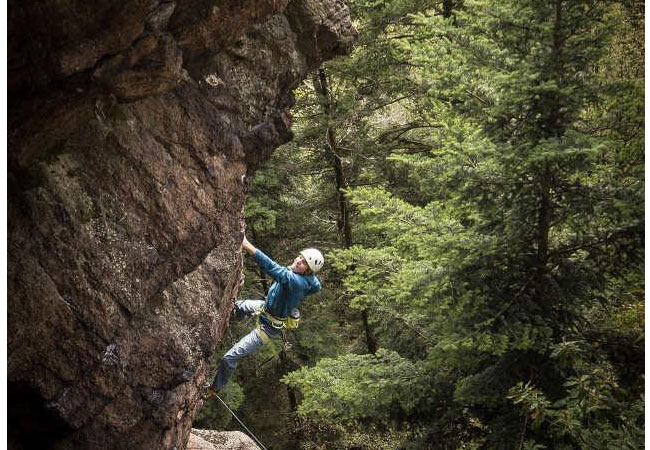 PB: Temporäre Sperrungen haben in anderen Gebieten zu guten Bruterfolgen geführt. Die Vollsperrung an der Badener Wand ist deshalb überzogen. / Foto ©: DAV/Philipp Abels
