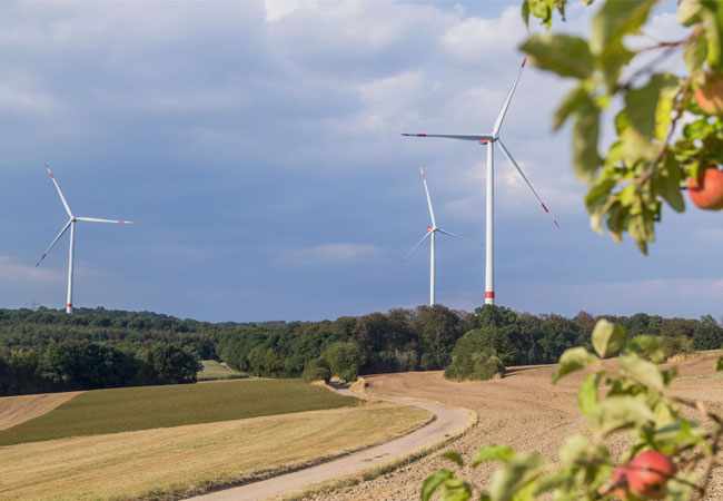 PB: Windpark Spechenwald / Copyright: BayWa r.e.