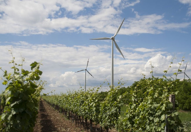 PB: Musterbundesland Burgenland plant durch Erdrosselungssteuer für Windkraft & PV eine Ausbau-Bremse / ©: Nina Holler