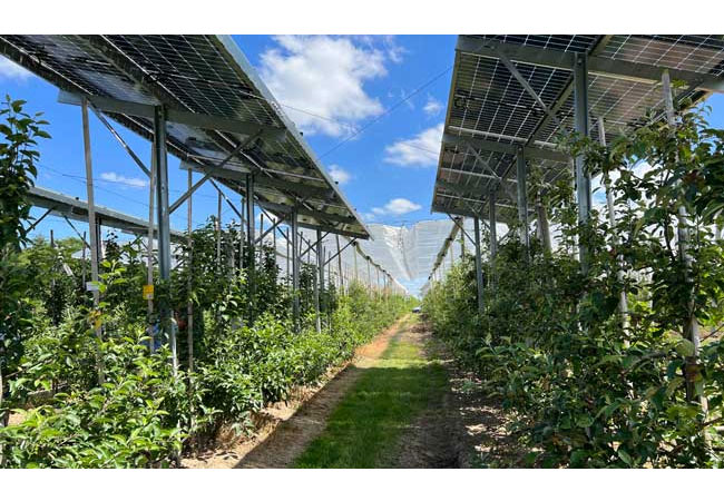 PB: Unternehmensporträt, erschienen in Land und Forst, 11/2022