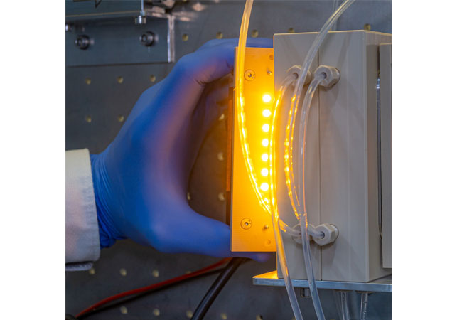 PB: Sichtbares Licht als Energiequelle für die photokatalysierte Umsetzung von CO2 an Diamantoberflächen. / Fraunhofer-IMM