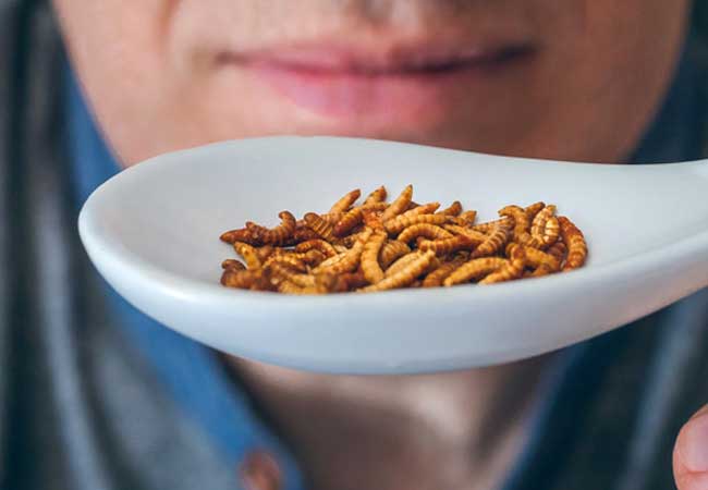 PB: Man showing a spoonful of worms ready to eat