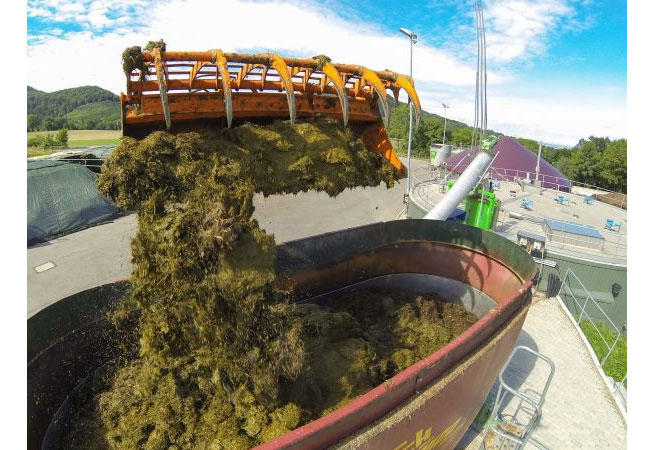 PB: Feststoffdosierer an der Forschungsbiogasanlage „Unterer Lindenhof“. In Powerland 4.2 wurde eine Methode entwickelt, um Fütterungsfahrpläne für den Dosierer zu erstellen, die sich am jeweils aktuellen Biogasbedarf orientieren. / Quelle: Eyb, Universität Hohenheim