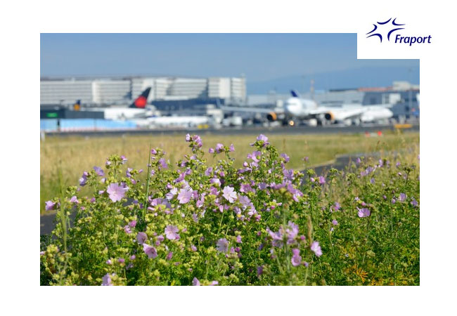 PB: Fraport strafft Klimaschutzziel 2030, Frankfurt Airport, Bildquelle: Fraport AG