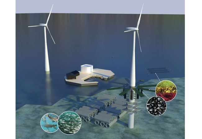 PB: Ziel ist die Entwicklung und Erprobung von Methoden zur Steigerung der Biodiversität im Zusammenhang mit den Offshore-Windprojekten, die OX2 rund um Åland entwickelt.