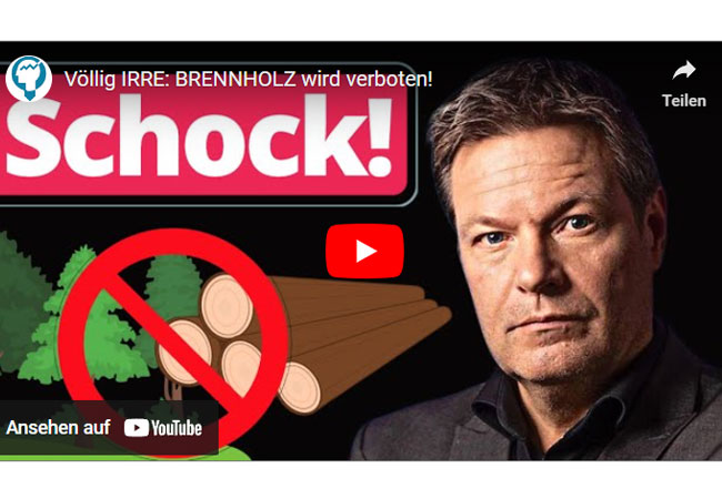 Videobild: Völlig IRRE: BRENNHOLZ wird verboten!