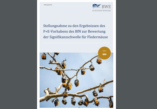 PB: BWE-Stellungnahme zu Fledermauspapier