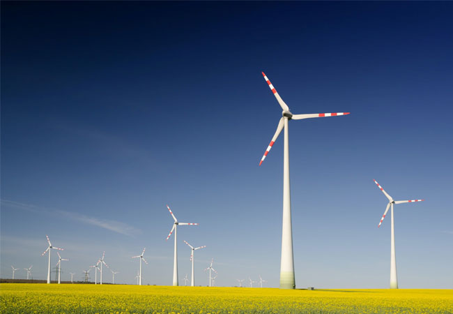 PB: Windpark in Deutschland / ©: Qualitas Energy