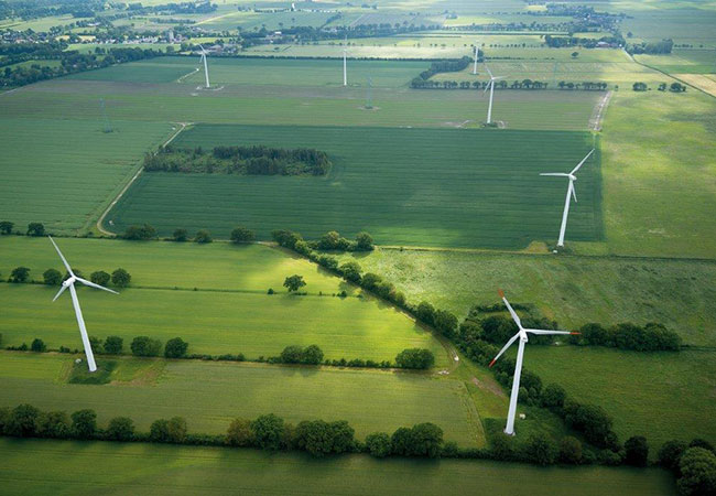 PB: Prokon erhält Genehmigung für Windpark-Repowering in Horst (Holstein)