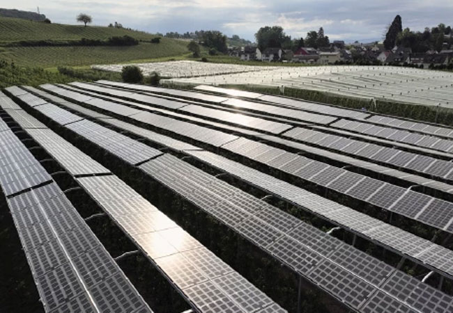 PB: Kontinuierlicher PV-Ausbau während der nächsten 10 Jahre erforderlich