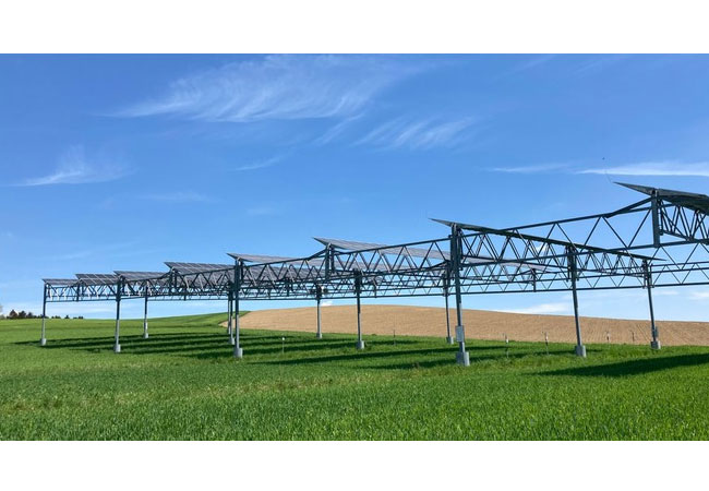 PB: Bei Dürre sogar ertragssteigernd: Hoch aufgeständerte Agri-Photovoltaikanlagen schützen durch Beschattung. | Bildquelle: Universität Hohenheim / Andreas Schweiger