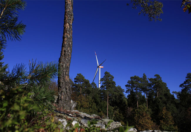 PB: Waldwindpark in Bad Berleburg eröffnet / ©: LEE-NRW