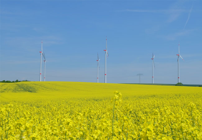 Pressefoto: Mit dem Bau des Windparks Racibórz unterstützt VSB die grüne Energierevolution in Europa: Der Windpark mit einer installierten Leistung von 41,6 MW wird nach Fertigstellung jährlich rund 40.000 Haushalte mit grünem Strom versorgen. (Symbolbild)