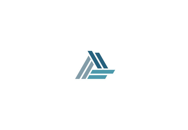 LOGO: VSV