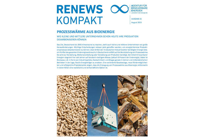 PB: AEE-Hintergrundpapier Prozesswärme aus Bioenergie