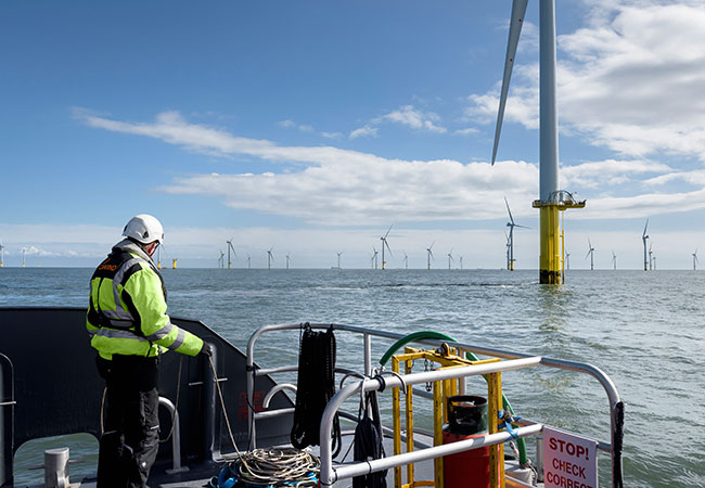 CWind-Wind-Farm-Core-Image