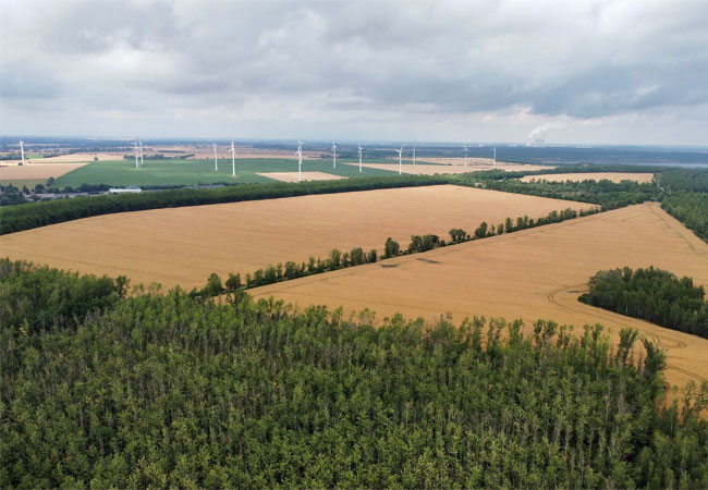 PB: Auf der Halde des Braunkohletagebaus Phönix-Nord soll der Solarpark Langendorf entstehen / ©: RES