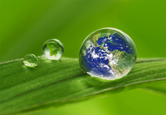 PB: Deutsch-Japanischer Kooperationsrat zur Energiewende fordert: Klimapolitik darf auch in Krisenzeiten nicht in den Hintergrund geraten. (Copyright: ECOS).