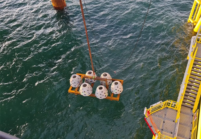 PB: TenneT platziert künstliche Riffe in der Nähe der Offshore-Plattform Hollandse Kust (West Alpha)