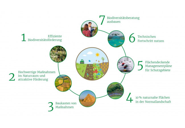 PB: Der Industrieverband Agrar e. V. (IVA) sieht sich als wichtigen Partner in der Landwirtschaft mit Fachexpertise und legt ein Konzept mit konkreten Vorschlägen für eine effiziente Biodiversitätsförderung in der Agrarlandschaft vor. Unsere Überzeugung ist, dass Biodiversität gezielt im Naturraum gefördert werden muss – und zwar unter Berücksichtigung von ökologischen Ansprüchen, Kooperationen und finanziellen Anreizen. In dieser Übersicht sind die wichtigsten Aspekte in Kürze vorgestellt: