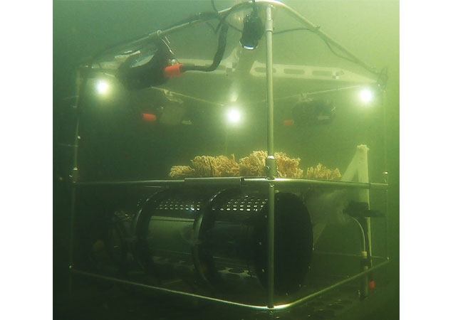 PB: Das mobile Unterwasser-Labor »Minilab« des Fraunhofer SOT ermöglicht das Testen von neuen Sensoren sowie neuer Materialien und Antifouling-Beschichtungen unter maritimen Bedingungen. / ©: Fraunhofer IKTS