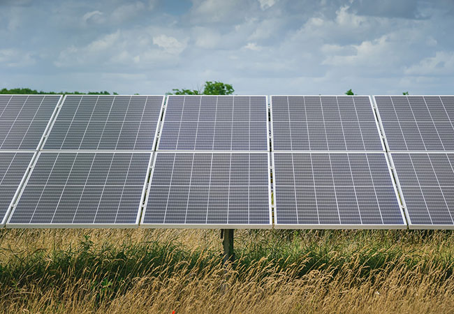 PB; Energiequelle startet gemeinsam mit finnischen Universitäten Agrivoltaik-Forschungsprojekt