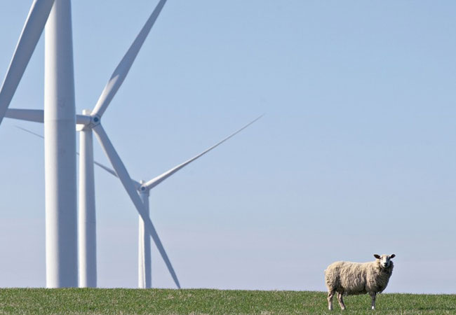 PB: Mit eine weiteren Stromliefervertrag deckt der Technologiekonzern SCHOTT einen Teil seines Bedarfs an Grünstrom. Statkraft liefert seit Anfang des Jahres bis Ende 2026 rund 125.000 MWh aus dem Windpark Nichel, 75 Kilometer südwestlich von Berlin / ©: Statkraft