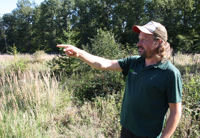 PB: Das neue Magazin folgt FSC-Holz auf seinem Weg hinaus aus dem Wald, hinein in die Vermarktungskette bis hin zum fertigen Produkt. / ©: Forest Stewardship Council (FSC)