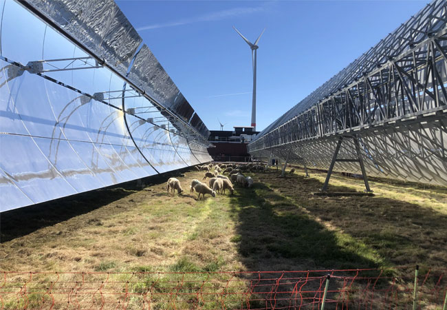 PB: Die konzentrierende Solarthermie ist weithin bekannt für die Stromerzeugung an sonnenreichen Standorten