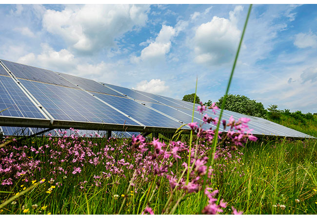 PB: Symbolbild Solarpark Leutkirch / ©: EnBW_Fotograf: Uli Deck