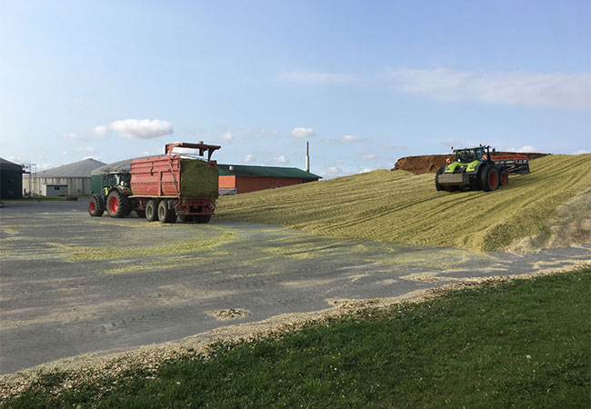 PB: LEKA MV / © Michael Kühling_Bürgerenergie Zemmin-Tutow