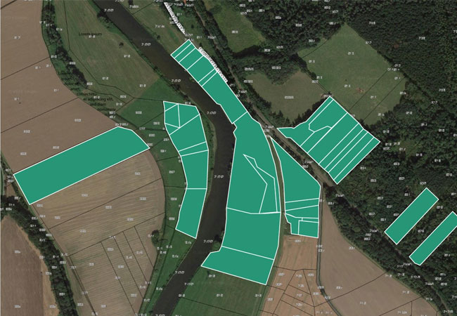 PB: Deutschland hat 65 Mio. Flurstücke, darunter auch Kleinstflächen der Land- und Forstwirtschaft. WoodsApp digitalisiert all diese Flächen im Sommer 2024. / ©: Fotograf: Sophia Trautmann
